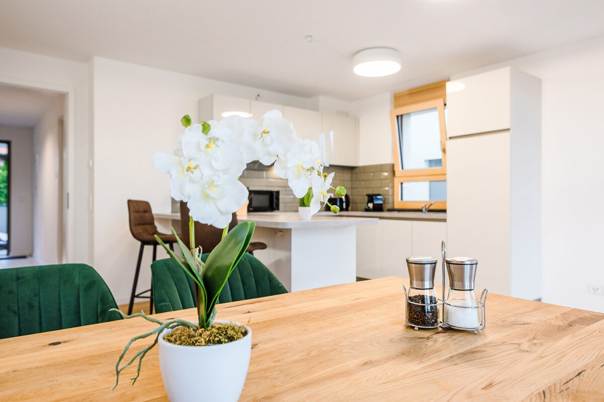 AU-Villen Apartments Mannheim