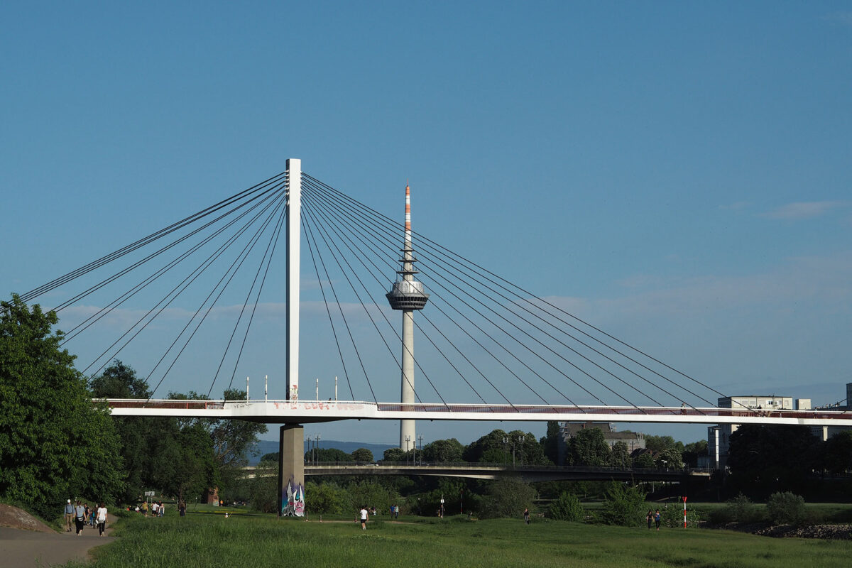 Mannheim Neckarwiese